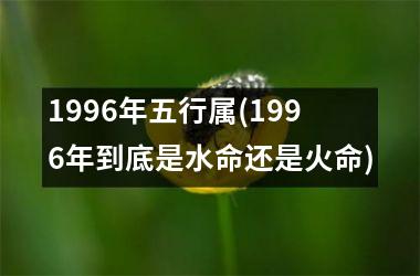 1996年五行属(1996年到底是水命还是火命)