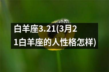 白羊座3.21(3月21白羊座的人性格怎样)