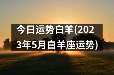 今日运势白羊(2025年5月白羊座运势)