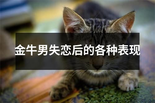 金牛男失恋后的各种表现