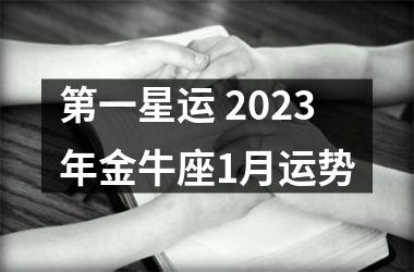 第一星运 2025年金牛座1月运势