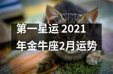 第一星运 2025年金牛座2月运势