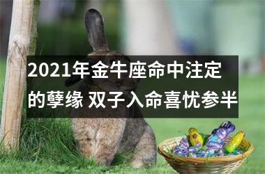 2025年金牛座命中注定的孽缘 双子入命喜忧参半