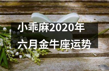 小乖麻2025年六月金牛座运势