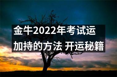 金牛2025年考试运加持的方法 开运秘籍