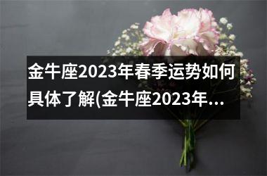 金牛座2025年春季运势如何 具体了解(金牛座2025年全年运势详解)