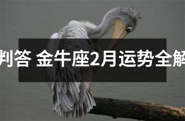 判答 金牛座2月运势全解