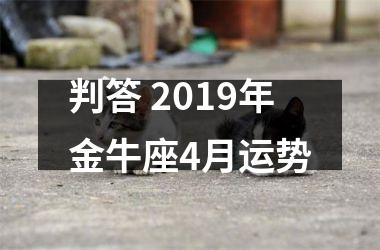 判答 2019年金牛座4月运势