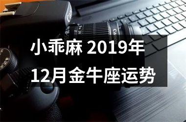 小乖麻 2019年12月金牛座运势