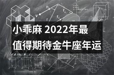 小乖麻 2025年值得期待金牛座年运