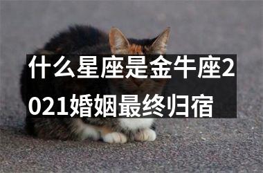 什么星座是金牛座2025婚姻终归宿