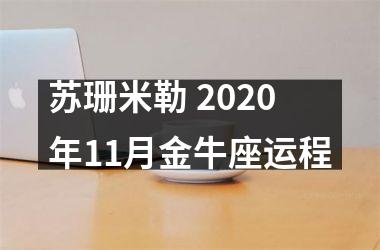 苏珊米勒 2025年11月金牛座运程