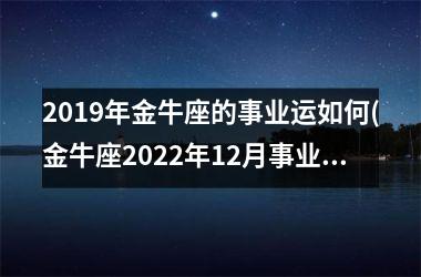 2019年金牛座的事业运如何(金牛座2025年12月事业运)