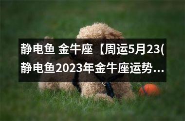 静电鱼 金牛座【周运5月23(静电鱼2025年金牛座运势)