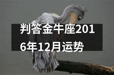 判答金牛座2016年12月运势