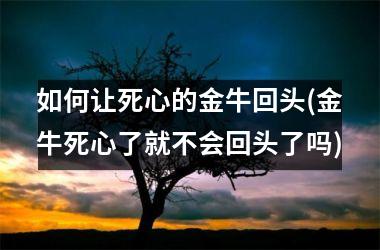 如何让死心的金牛回头(金牛死心了就不会回头了吗)