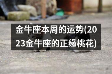 金牛座本周的运势(2025金牛座的正缘桃花)