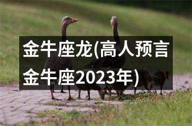 <h3>金牛座龙(高人预言金牛座2025年)