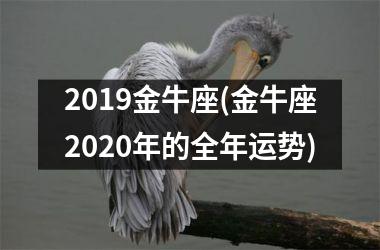 2019金牛座(金牛座2025年的全年运势)