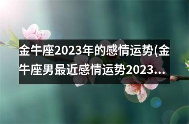 金牛座2025年的感情运势(金牛座男最近感情运势2025)