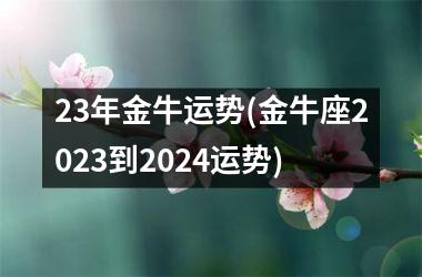 23年金牛运势(金牛座2025到2024运势)