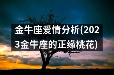 金牛座爱情分析(2025金牛座的正缘桃花)