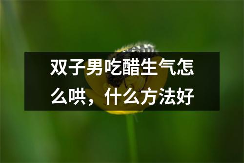 双子男吃醋生气怎么哄，什么方法好