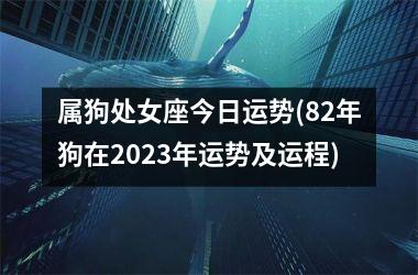 属狗处女座今日运势(82年狗在2025年运势及运程)