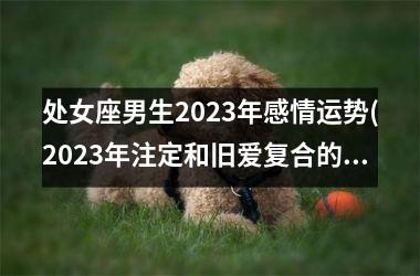 <h3>处女座男生2025年感情运势(2025年注定和旧爱复合的星座)