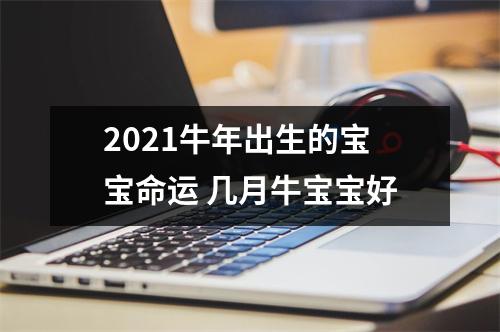 <h3>2025牛年出生的宝宝命运几月牛宝宝好