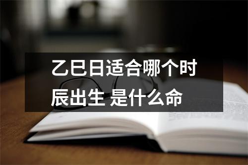 <h3>乙巳日适合哪个时辰出生是什么命