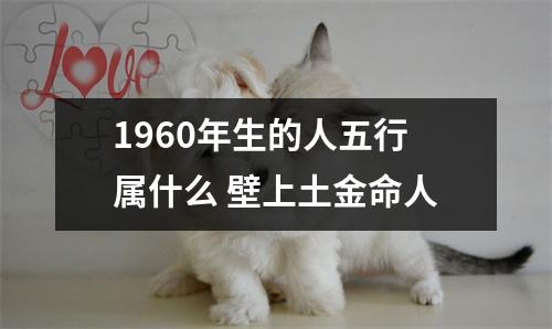 <h3>1960年生的人五行属什么壁上土金命人
