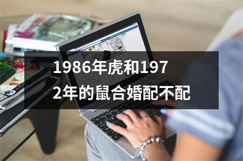 1986年虎和1972年的鼠合婚配不配