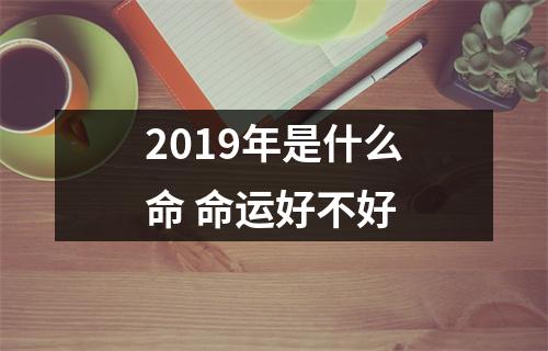 <h3>2019年是什么命命运好不好