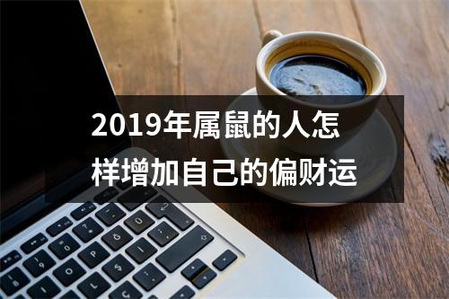 <h3>2019年属鼠的人怎样增加自己的偏财运
