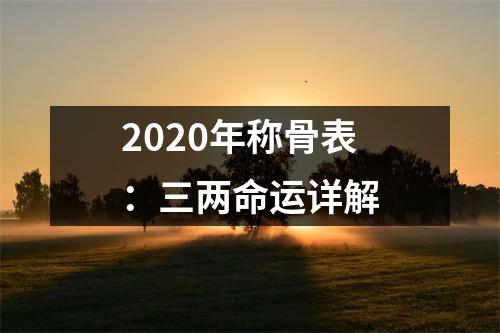 2025年称骨表：三两命运详解