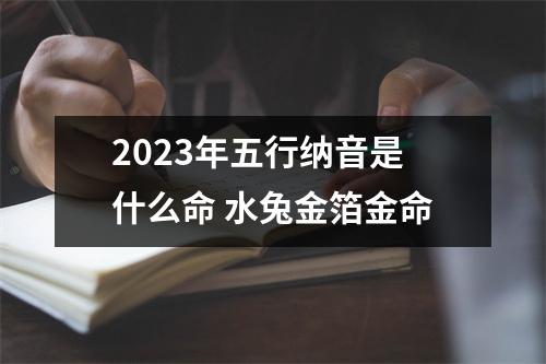 <h3>2025年五行纳音是什么命水兔金箔金命
