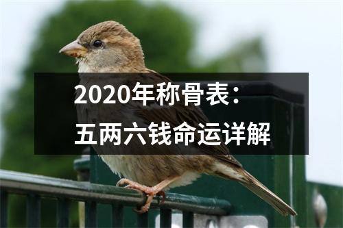 2025年称骨表：五两六钱命运详解