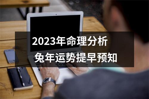 <h3>2025年命理分析兔年运势提早预知