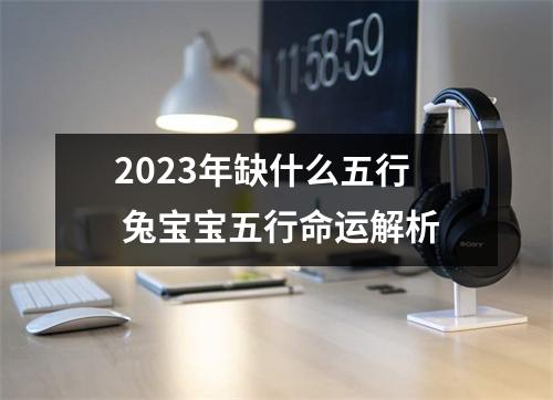 <h3>2025年缺什么五行兔宝宝五行命运解析