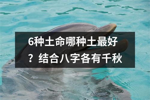<h3>6种土命哪种土好？结合八字各有千秋