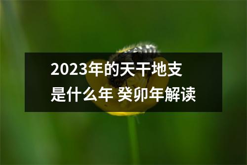 <h3>2025年的天干地支是什么年癸卯年解读