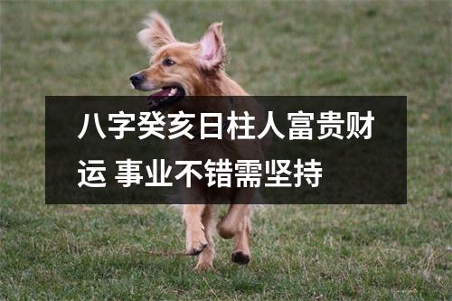 八字癸亥日柱人富贵财运事业不错需坚持