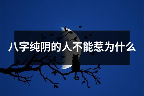 八字纯阴的人不能惹为什么