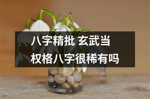 <h3>八字精批玄武当权格八字很稀有吗