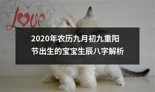 <h3>2025年农历九月初九重阳节出生的宝宝生辰八字解析