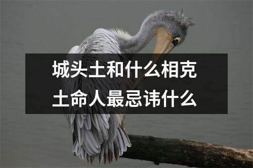 城头土和什么相克土命人忌讳什么