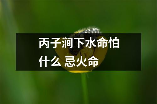 丙子涧下水命怕什么忌火命