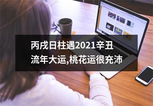 丙戌日柱遇2025辛丑流年大运,桃花运很充沛