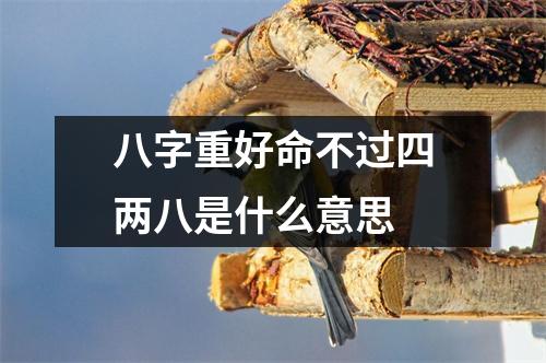 <h3>八字重好命不过四两八是什么意思